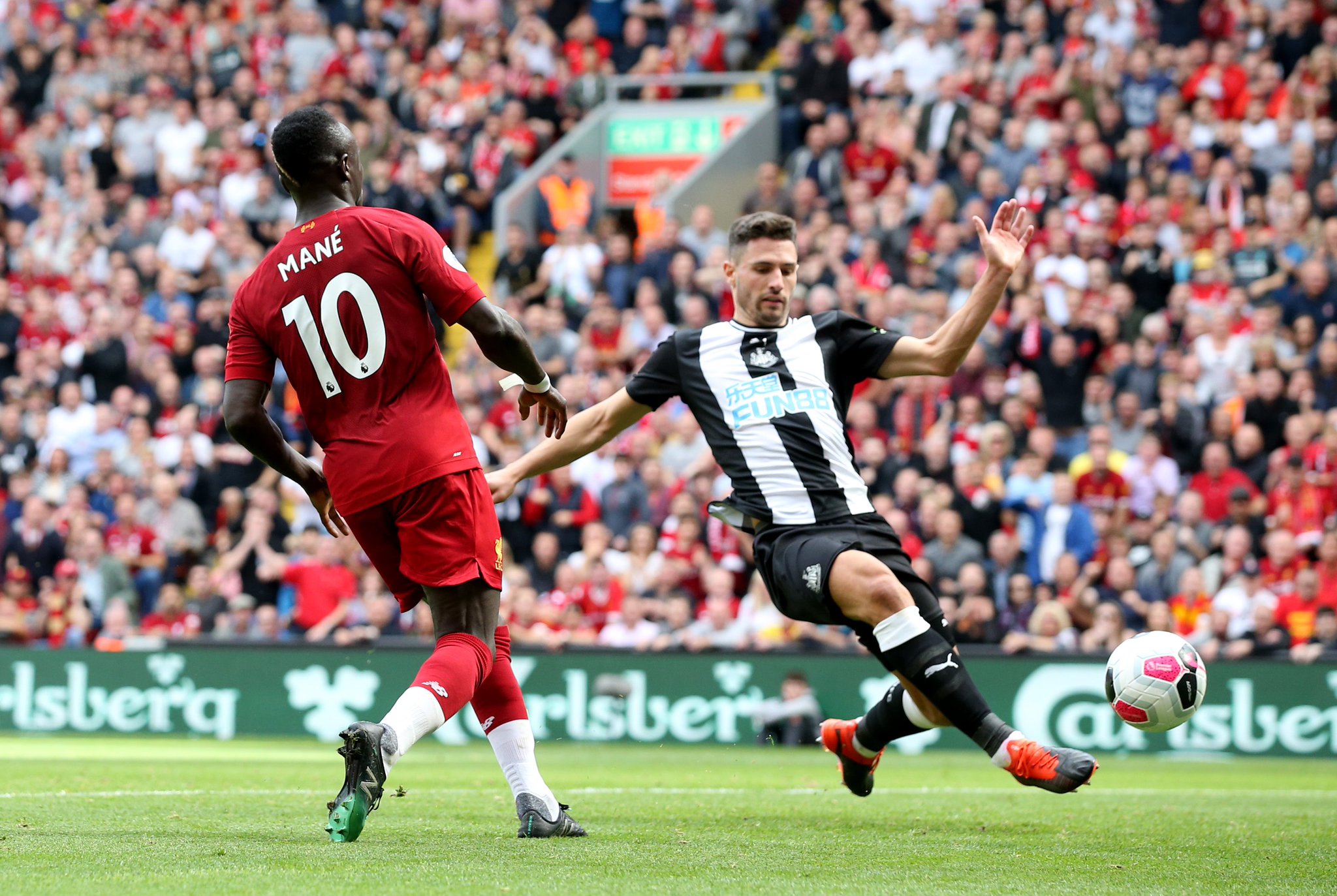 塔菲仅有 塔菲仅有